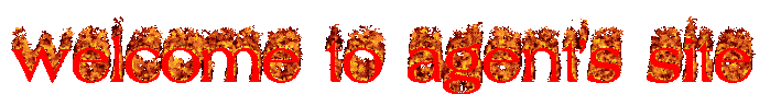 welcome to agent's site banner